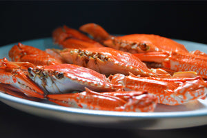 Crab: All About the Stone