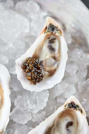 Sterlet Caviar - Oyster With Caviar - Domestic Seafood