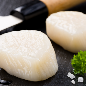 Domestic Scallops from Massachusetts - Uncooked Fresh Scallops - Domestic Seafood