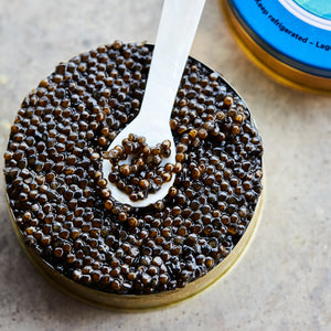 Hackleback Roe - Hackleback Roe Plated - Domestic Seafood