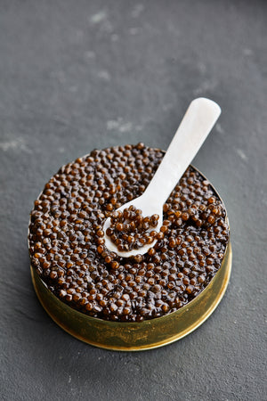 Sterlet Caviar - Albino Caviar - Domestic Seafood