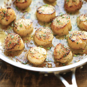 Domestic Scallops from Massachusetts - Cooked in Pan - Domestic Seafood