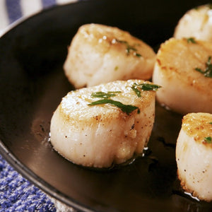 Domestic Scallops from Massachusetts - Cooked Close Up - Domestic Seafood